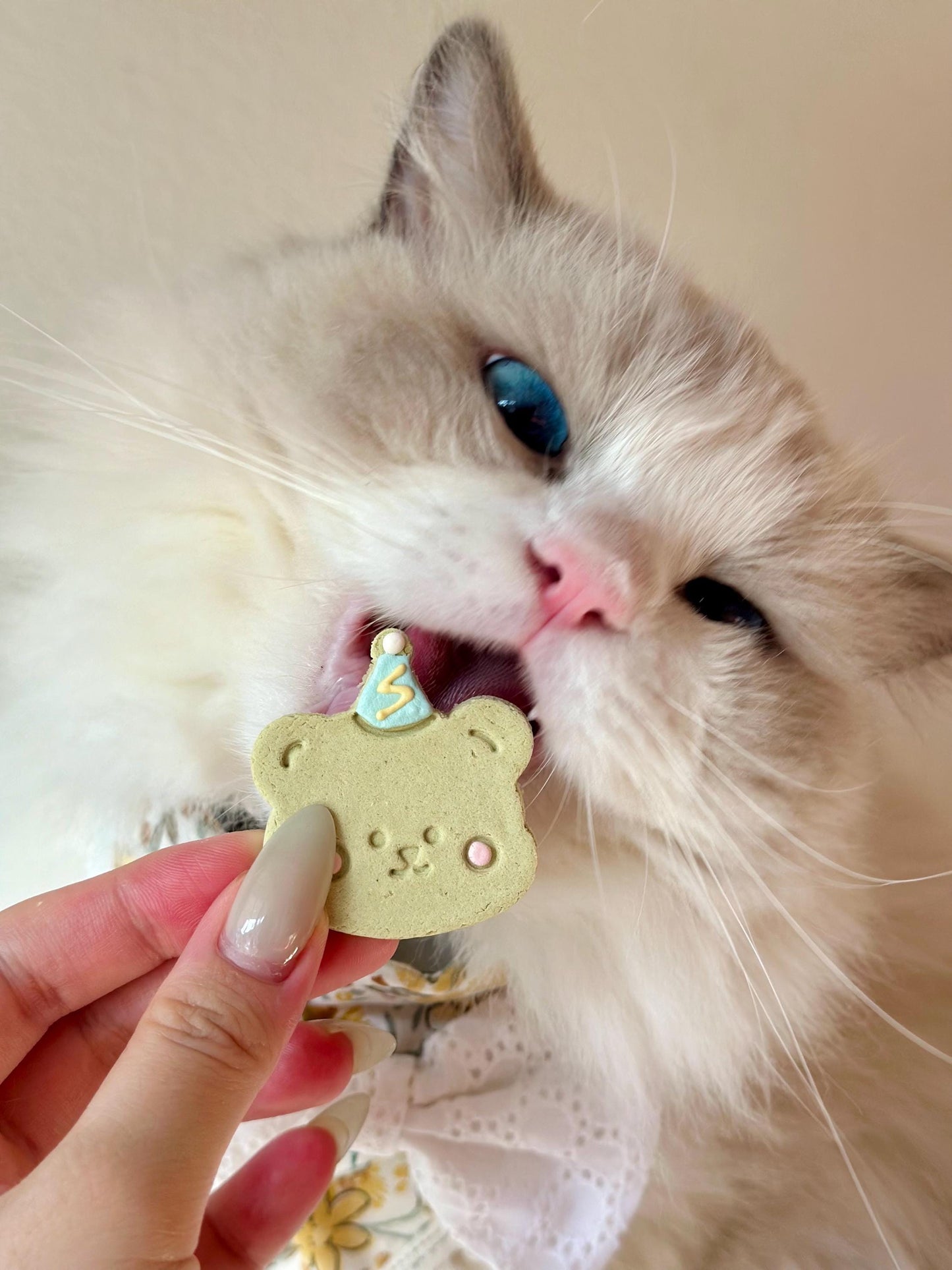 Birthday Party Pet Treats 4 pcs