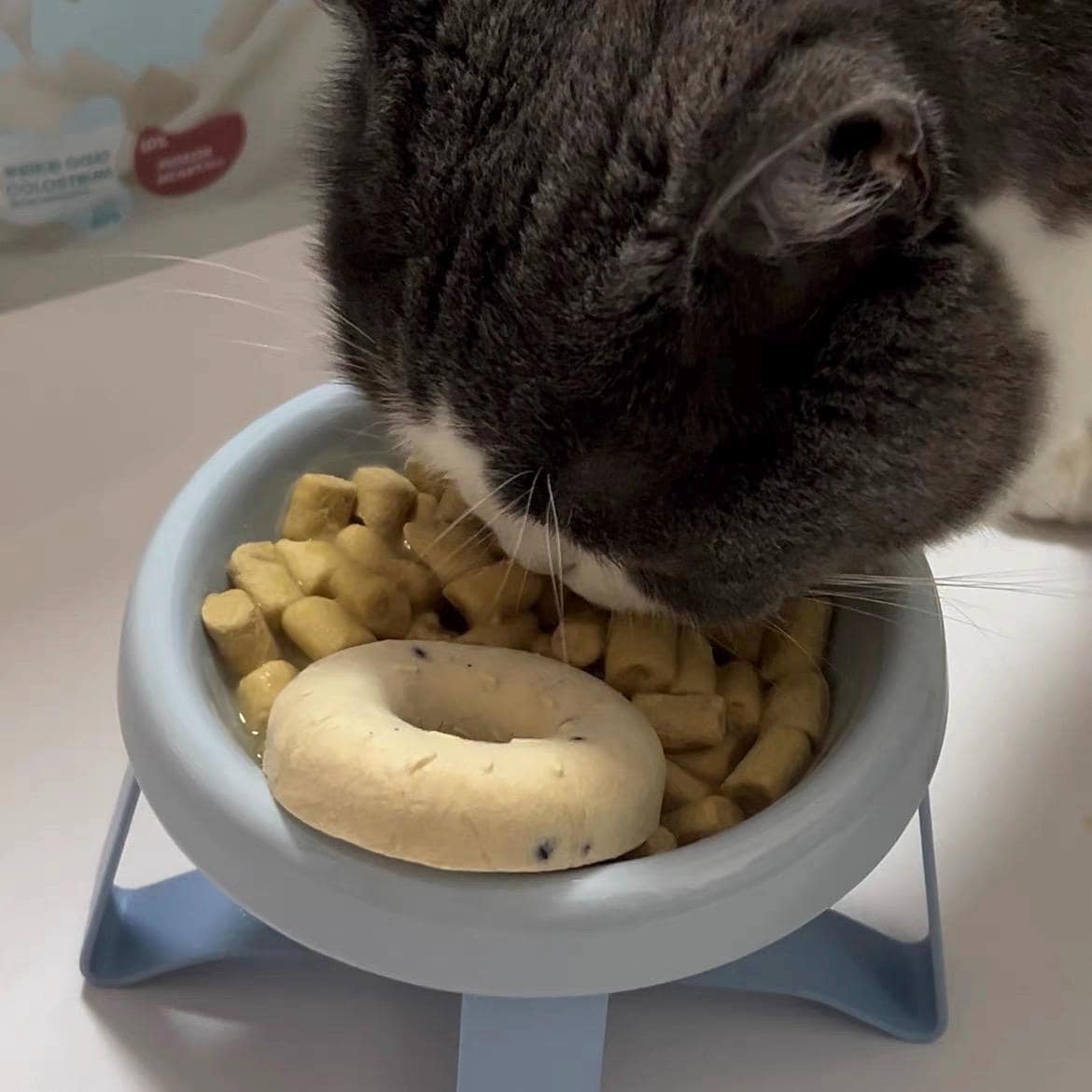 Freeze Dried Chicken Donut Pet Treats