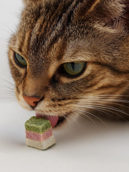 Freeze Dried Cake Cube Pet Treats 50g