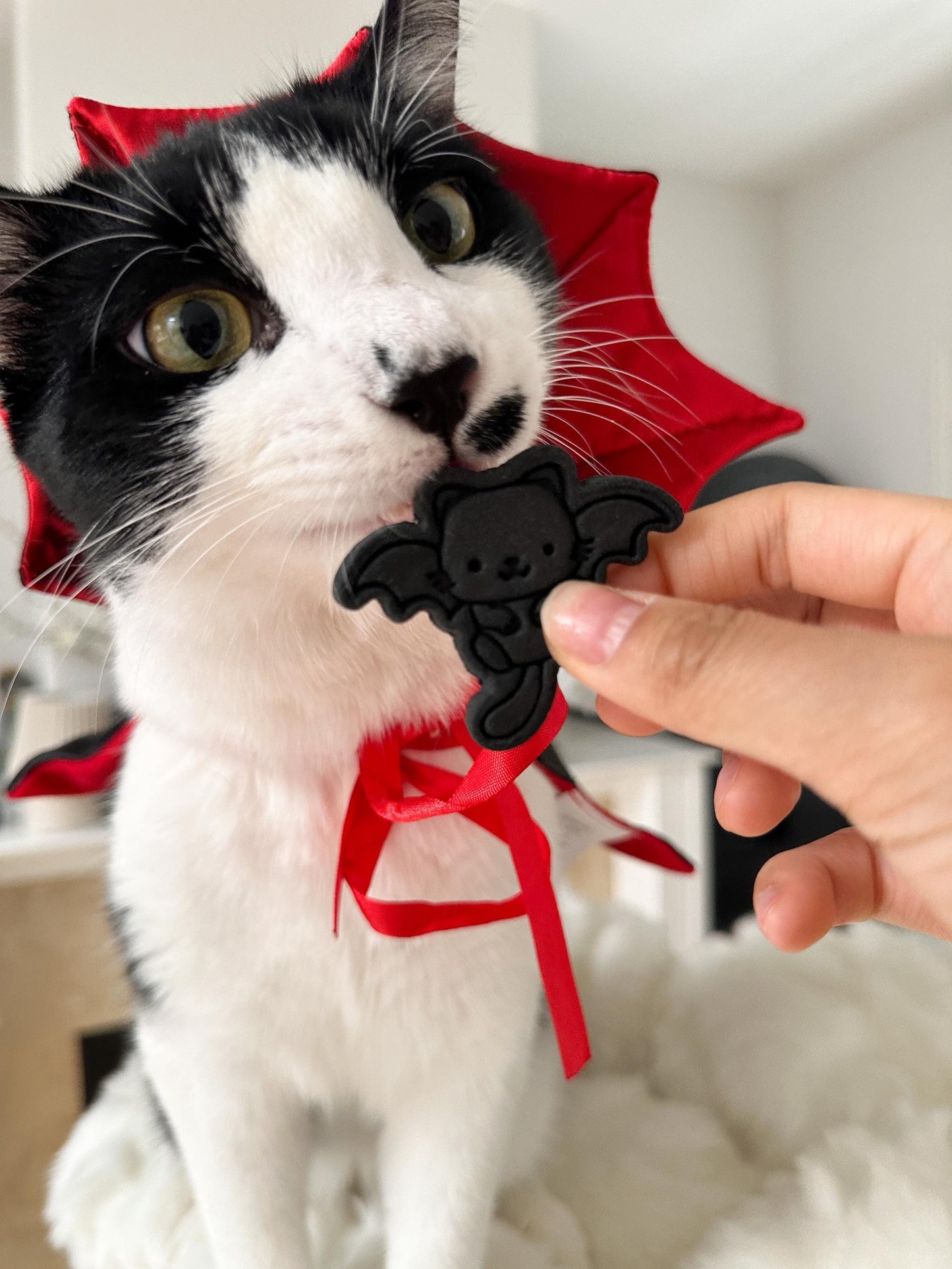 Halloween Cat Chicken Pet Treat 5 pcs